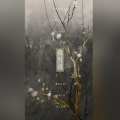 凤来仪Flynn - 从别后 (女声版)