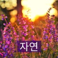 숲속을 걷다 - 봄비