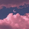陈科旭、白妤晗、鹿屿森禾 - 影子