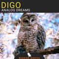 Digo - Time To Lies