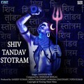 Sanjeev Kumar、Neha Chaudhary、Shekhar Sehgal、Sandeep Roy、Vipin Kumar、Somana Chaudhary - Shiv Tandav Stotram