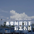 不要问我分手后怎么过