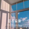 忍者最强