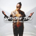 Winston、Trill Panther、KOUASSI SOCRATE、Demario McDow、Demario SB - Wasting Time