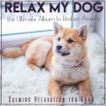Dog Music Therapy、Dog Music Dreams - Dog Music Therapy