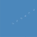 Jason Cerf、真夜中のオーラ、Dew - 家族の瞑想