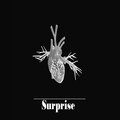 D'Lay - Surprise (Original Mix)