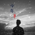 少年 (弹鼓版)(DJ焰灵姬版)