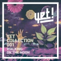Walking on the Moon