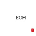 EGM (40秒片段)