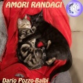 Dario Pozzo-Balbi - Amori Randagi