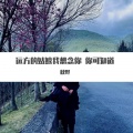 田逍 - 远方的姑娘我想念你 你可知道