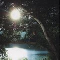 张羽伟、焦炭乐团 - 情定西湖