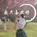 我只喜欢你