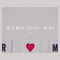M.E.T - 百年树木