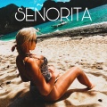ANDE、Luis Meff - Señorita