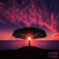 Darki - Arbre de vie (Explicit)
