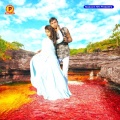 Sudha、Niranjan Yadav - Kamariya Hilawe Ke Padi