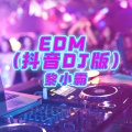 EDM (DJ版)