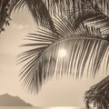 Golden Gate Quartet - The Sun Didn't Shine