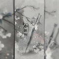 流筝、遥初 - 玉剑掀澜