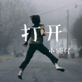 柯宇（孙泽耀） - 打开
