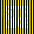 Bill Callahan - Lapse