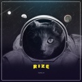 torch - Rize (Original Mix)