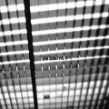 Turbo Turbo - Unfold