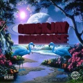 Sean Brown、Chuck Jay - Say My Name
