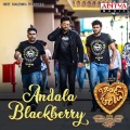 Andala Blackberry (From 