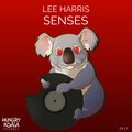 Lee Harris - Senses (Original Mix)(Remix)