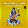 Om Namah Shiivaya For Your Meditation