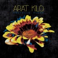 Arat Kilo、Bruck Tesfaye - Mestefeker