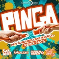 Pinga (Punkie Remix)