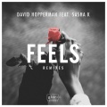 David Hopperman、Sasha K - Feels feat. Sasha K (Brondie Remix)