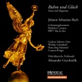 Wiebke Lehmkuhl、Mitteldeutsche Hofmusik、Alexander Ferdinand Grychtolik、Gudrun Sidonie Otto - Der Himmel dacht auf Anhalts Ruhm und Gluck, BWV 66a - Recitative: Nun, teurer Furst (Soprano Alto)