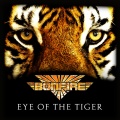 Eye of the Tiger