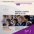 Gewandhaus Orchestra、georg christoph biller、Andreas Scheibner - Schwingt freudig euch empor, BWV 36 - Aria: Willkommen, werter Schatz! (Bass)