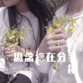 思念總在分手後
