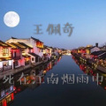 王佩奇 - 死在江南烟雨中