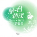 邓丽君 - 天黑黑
