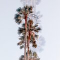 Michael Kennedy、Tripwire Danceteam、Aux Jesus、Positive Currents、Jewel Vibes - Emerald Light