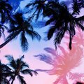 Michael Kennedy、Tripwire Danceteam、Aux Jesus、Positive Currents、Jewel Vibes - Farm In Los Angeles