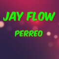 Jay Flow - Perreo (Explicit)
