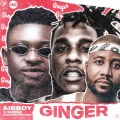 Ginger (Explicit)