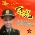 走晓月 - 军魂