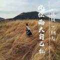 孤风、何友 - 酥司令