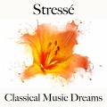 Boston Symphony Orchestra、Charles Munch、New England Conservatory Chorus - Symphony No. 5 in C Minor, Op. 67: II. Andante con moto