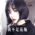 浪胃仙 - 你说会陪着我 (Remix)